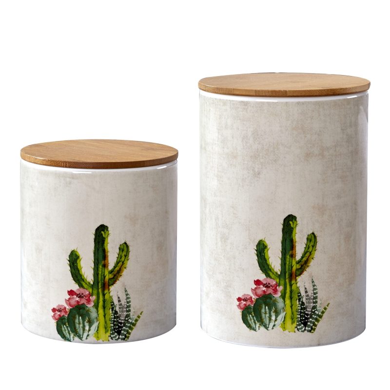 paseo road canister succulent design 2pc canister set 37585935532248