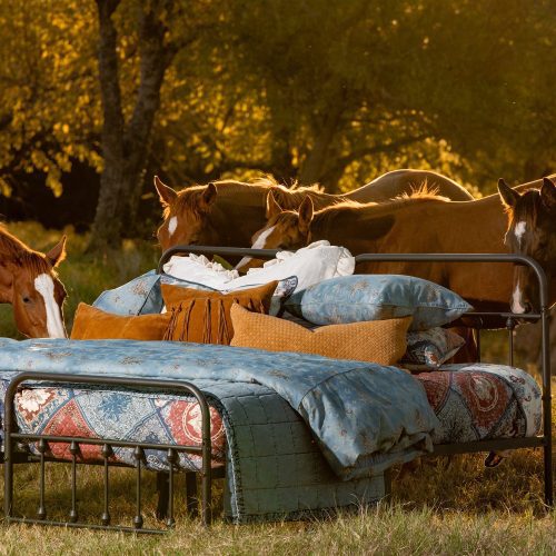 paseo road comforter duvet cover lee western bedding set 43591960985816