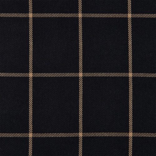 Ashbury Windowpane Black Plaid Swatch Swatch